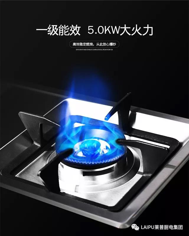 1546957171800664.jpg 6.jpg