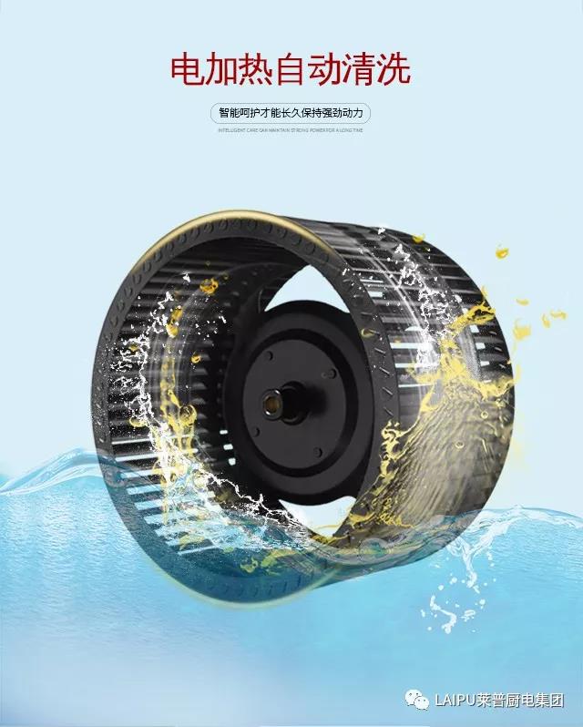 1554715217338655.jpg 2.jpg