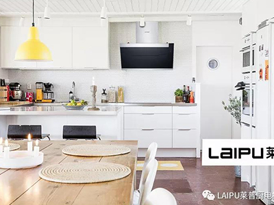 91看片APP永久免费3376烟机诠释精致生活，细节突显品质